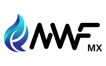 imagen-logo-thelogisticsworld
