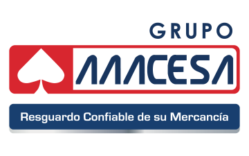 imagen-logo-thelogisticsworld